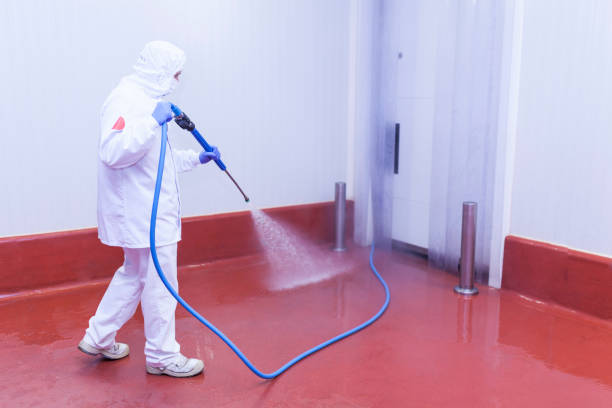Best Restaurant Pressure Washing  in Lindsborg, KS